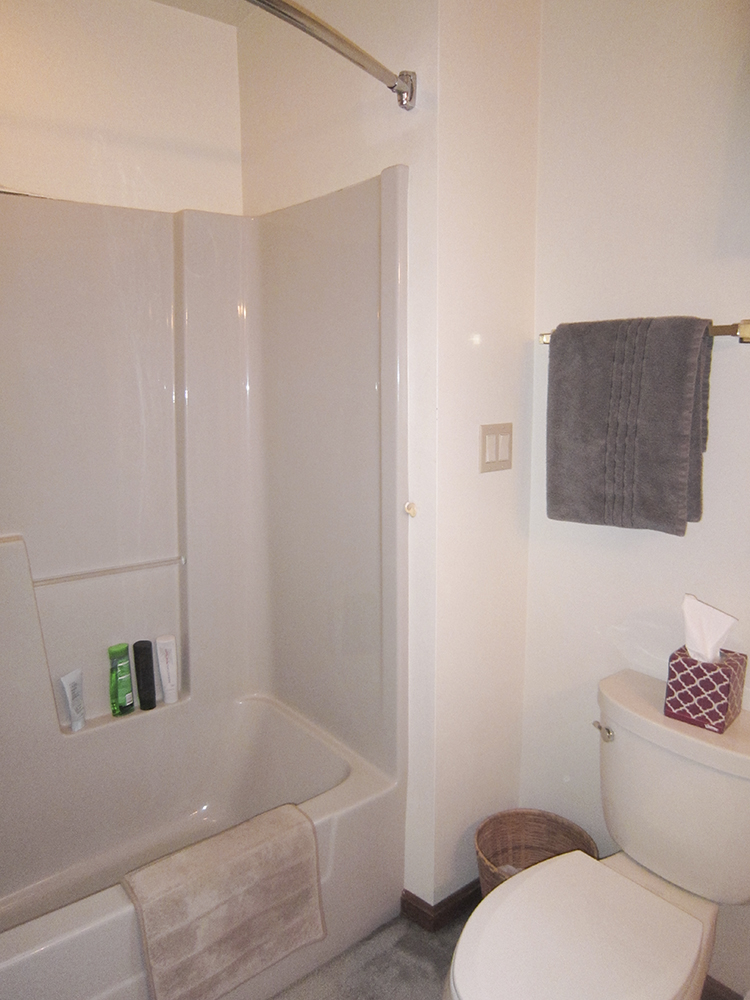 Pre-Bathroom Remodel